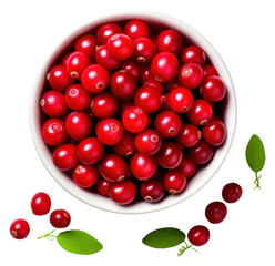 PNG Lingonberry fruit plant food.
