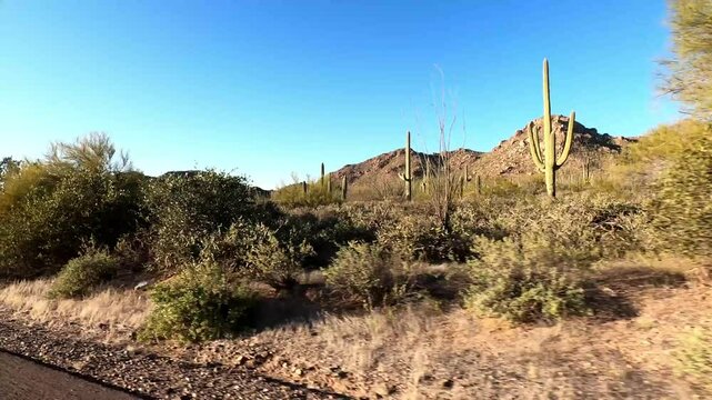 Arizona Driving 0865 Marana Saguaro National Park