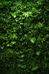 Obraz premium Lush green foliage creates vibrant wall of nature, showcasing di