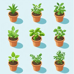 Fototapeta premium Collection of Isometric Vector Illustrations of Young Green Plants in Eco-friendly Biodegradable Pots