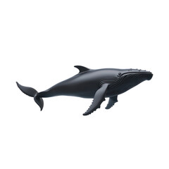 Fototapeta premium 3D vector icon of Humpback whale isolated on transparency background