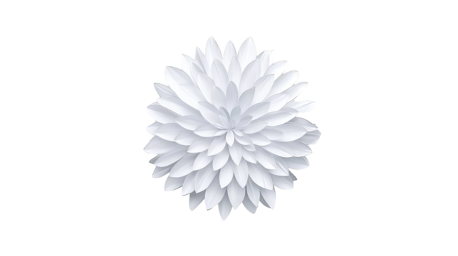 White flower blossom on green plaid fabric, a closeup nature photograph of floral beauty