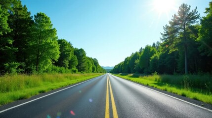 Fototapeta premium Asphalt Path Through Lush Greenery on a Sunny Day, Leading to a Distant Horizon