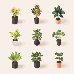 Obraz premium Assorted Isometric Houseplants in Trendy Ceramic and Terracotta Containers