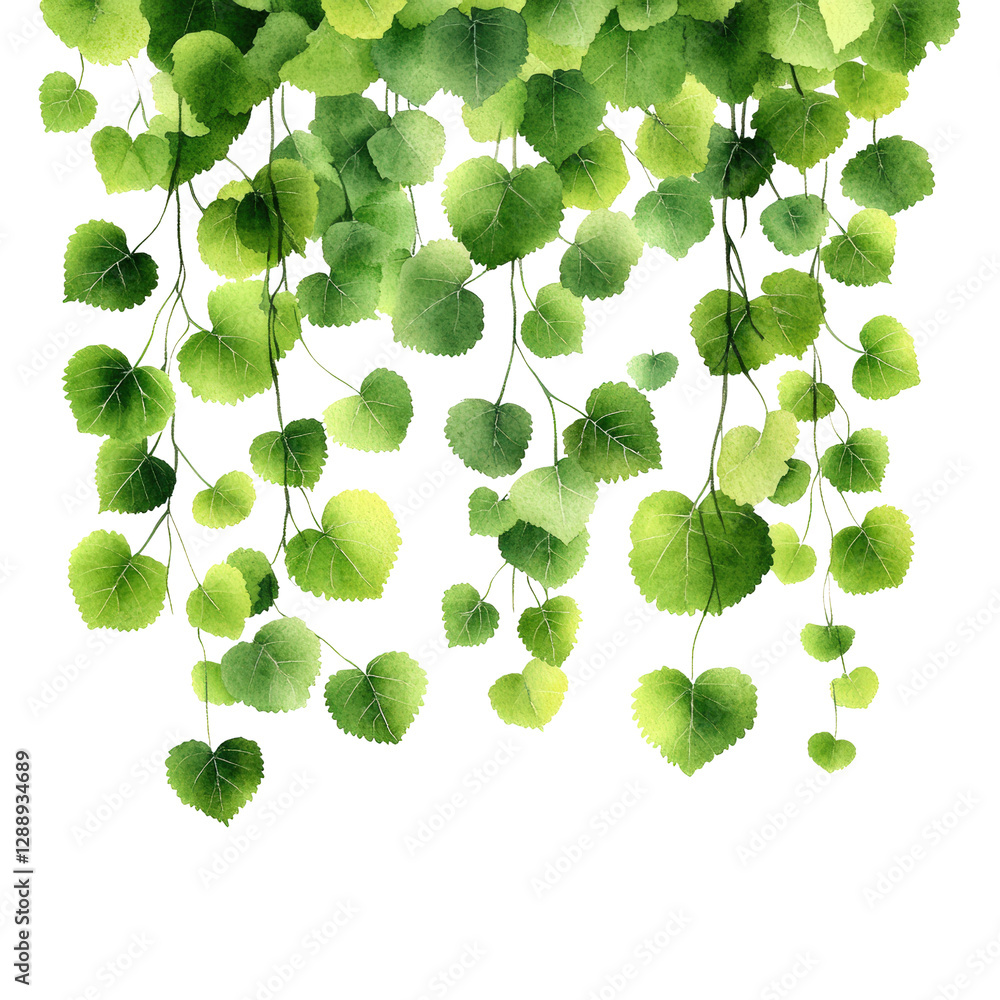 Aufkleber cluster of green leaves on a branch isolated on a white background isolated on transparent backgroun