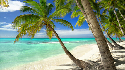 Fototapeta premium stunning tropical white sand beach with coconut trees and turquoise sea with waves, blue sky