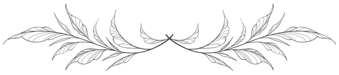 black and white outline sketch of a leaf vector eps