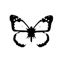 Abstract Butterfly Silhouette on White Backdrop