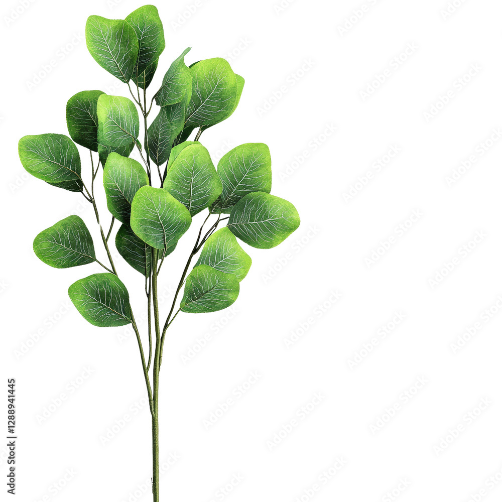 Poster green plant with vibrant leaves displayed on a solid black background for botanical and nature theme