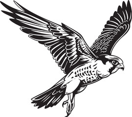  Vector Illustration of a Peregrine Falcon in Flight - Outline Art
