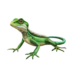 Naklejka premium 3D vector icon of Basilisk lizard isolated on transparency background