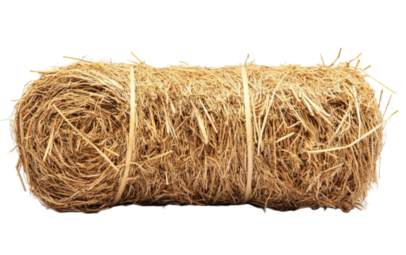 Cylinder Hay on transparent or white background,png