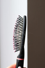 Hair loss fall with comb brush isolated on white background.Health care.Close up.Concept of hair loss, baldness and hair care. High quality photo