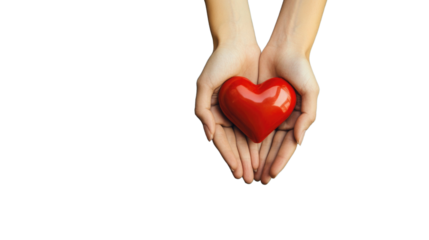 Hands holding a shiny red heart symbol on a white background signifying love and compassion