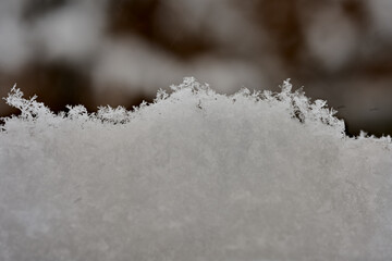 Macro focus-stacked snowflake structure........