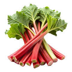 Fresh Rhubarb Stalks: Recipes, Benefits & Growing isolated on transparent background