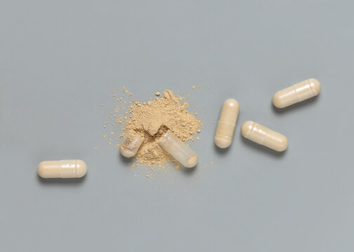 Opened medical capsules to show beige powder on grey top view. Alternative dietary supplements