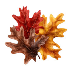 Fototapeta premium Three autumn leaves in various colors on a black background creating a striking visual contrast isolated on transparent background..