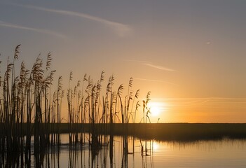 sunset over the river