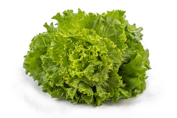 Fresh green lettuce ready for healthy meals