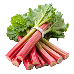 Fresh Rhubarb: Recipes, Benefits & How to Grow isolated on transparent background