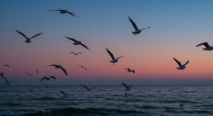 Fototapeta premium Seagulls soaring above ocean at dusk with vibrant sunset sky