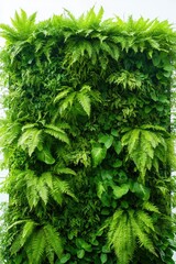 Lush green wall filled with various leafy plants creating vibran
