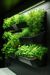 Lush greenery thrives in modern vertical garden with sleek desig