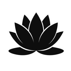 water-lily-flower-silhouette-on-white-background