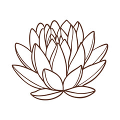 Boho Flower Lotus Blossom Icon