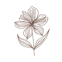 Boho Flower Delicate Lily Icon