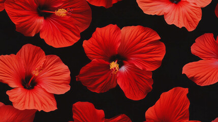 Vibrant red hibiscus petals on a dark background for exotic floral design