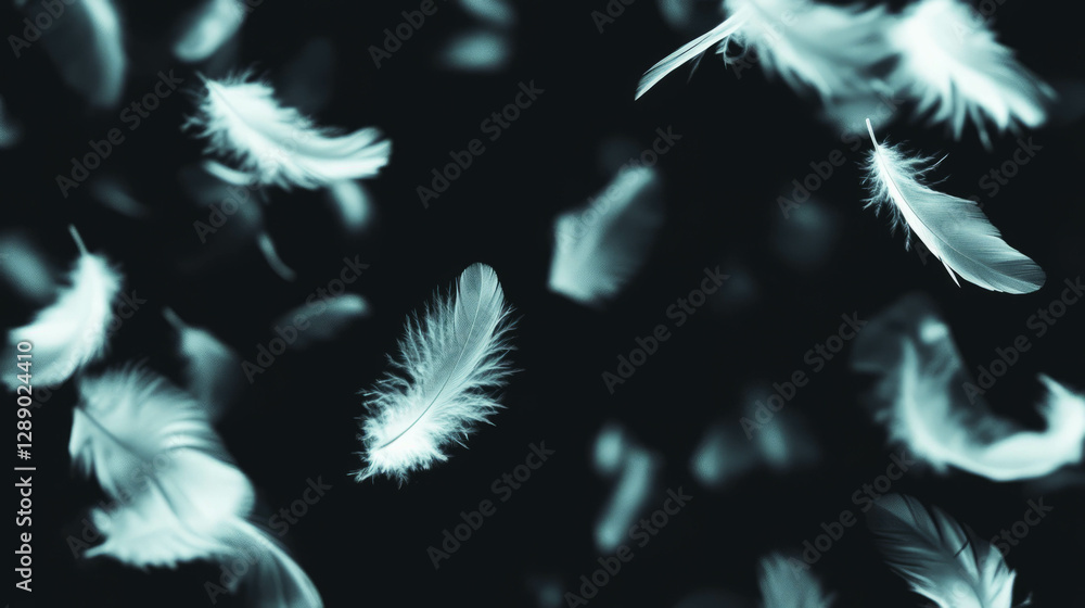 Poster Ethereal background of falling feathers for calm and soft designs