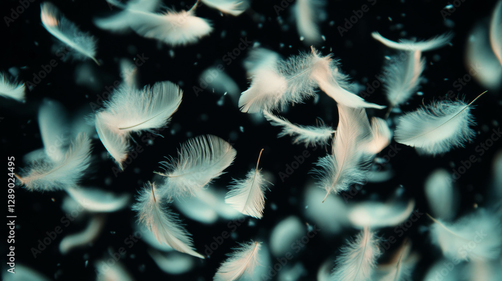 Poster Soft floating feathers in motion background for tranquil design