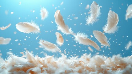Floating feathers over a bed of down