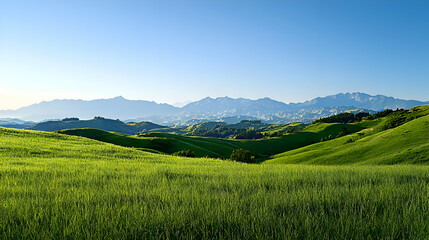 Fototapeta premium Rolling Green Hills and Distant Mountains under a Clear Blue Sky