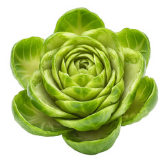 Obraz premium Brussels Sprout Carved into a Flower – A Tiny Yet Stunning Edible Art
