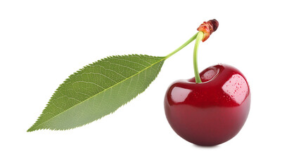 Fresh Red Cherry with Green Leaf Transparent PNG No Background