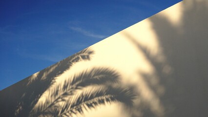 shadow of palm tree on white wall against blue sky