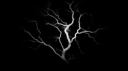 Striking lightning and dark tree silhouette against black background