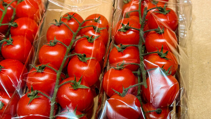 Fresh red cherry tomatoes packed in plastic, healthy food choice, ideal for salads, summer barbecue