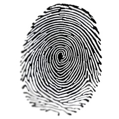 Fingerprint 