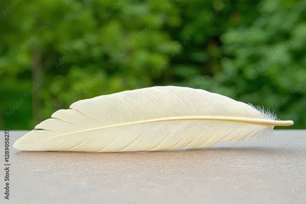 Poster close-up of a single, light-colored feather with intricate patterns resting on a brown surface again