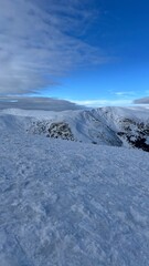 winter landscape with snow