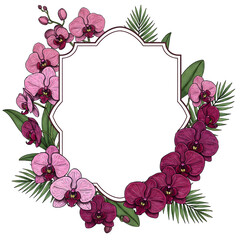 Vintage tropical frame adorned with orchids. This hand-drawn artwork sits on a white backdrop, ideal for your design needs