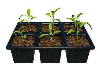 3D Rendering Seeding Tray on White