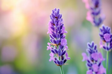 Obraz premium A detailed shot of a flower with a blurred background