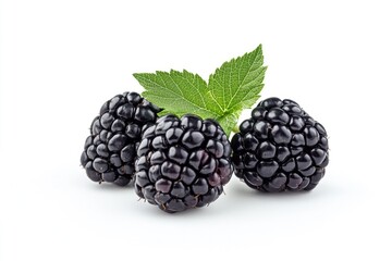 Fresh blackberries with green leaves on a clean white background