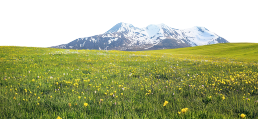 PNG Hilly meadow spring fields landscape mountains outdoors.