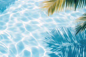 A palm tree stands beside a pool, casting a long shadow